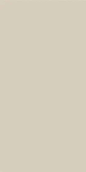 Palette Skin Бежевый